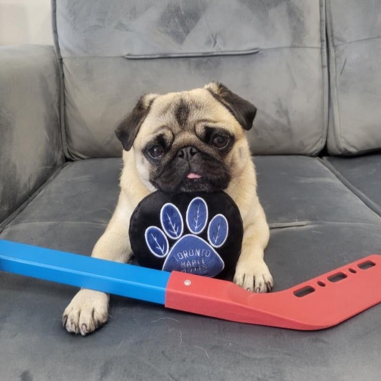 Jouet pour chien Toronto Maple Mutts 