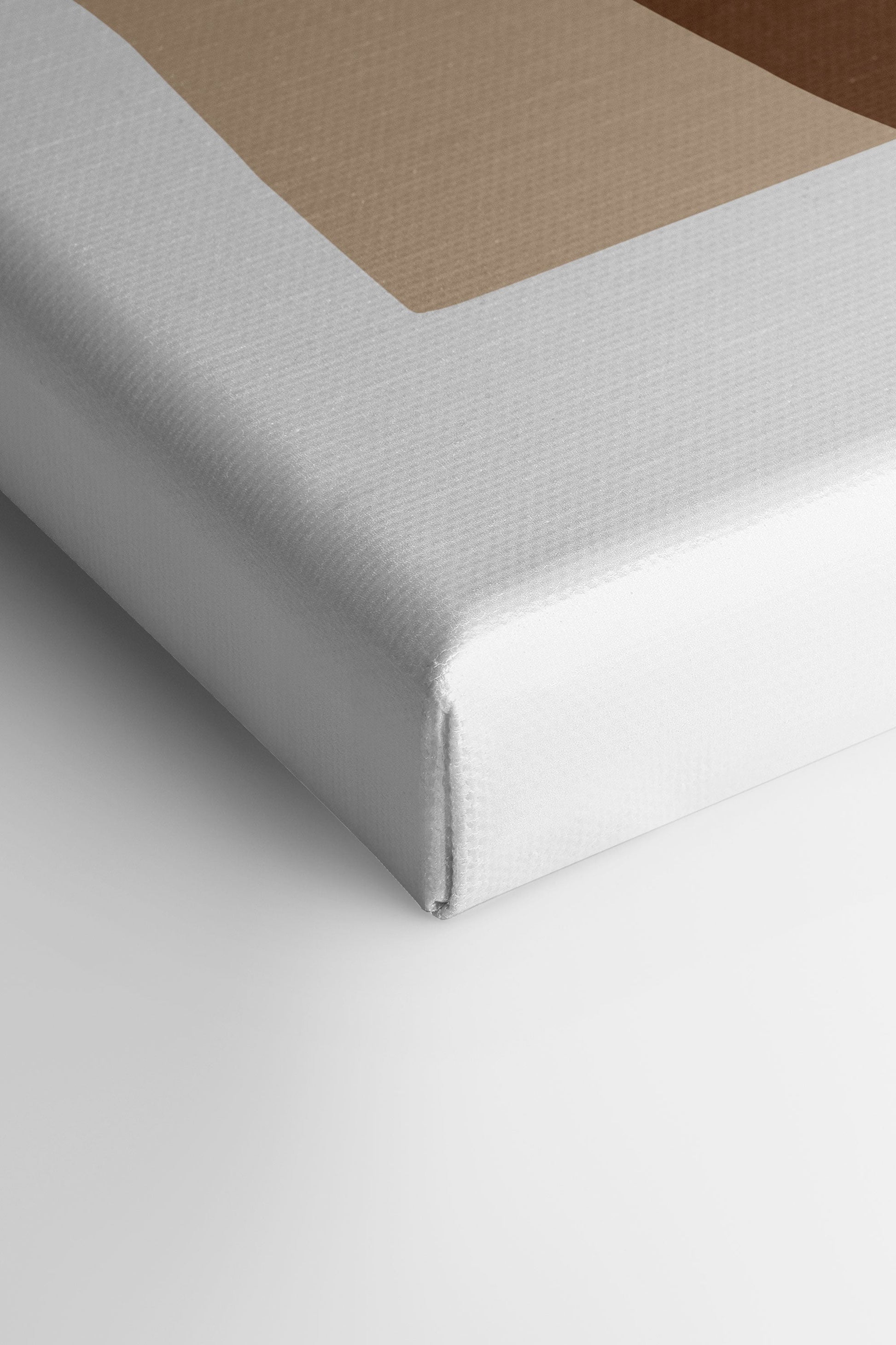 BOTANICAL DUO (2 Stretched Canvas Artworks)