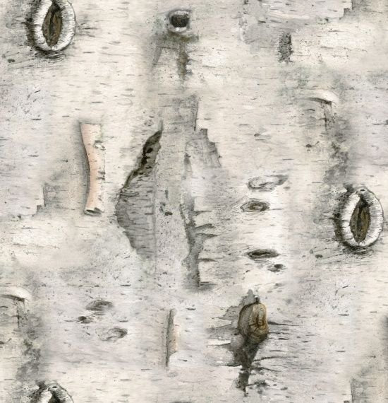 Studio d'Elizabeth - Mélange de paysages - Écorce de bouleau 