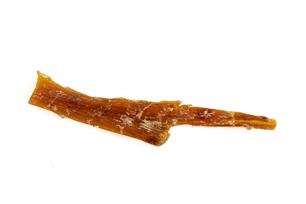 Tendon de bœuf de 8 à 12 pouces