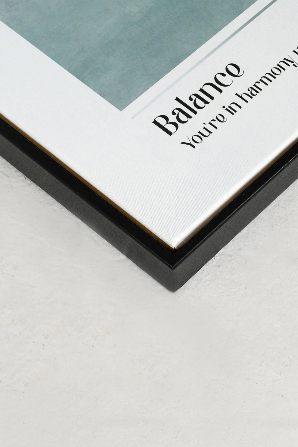Balance, Stretched Canvas Artwork
