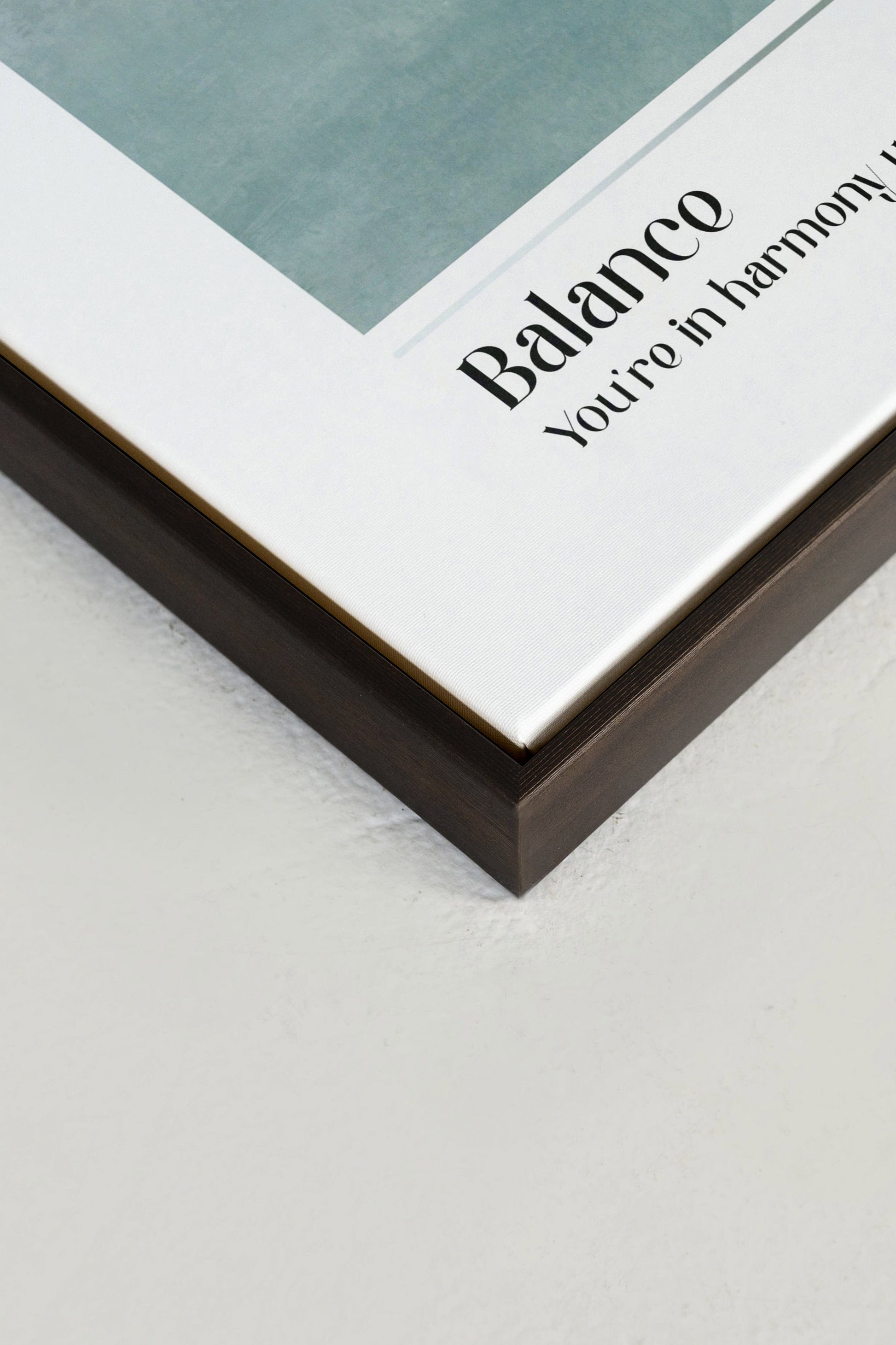 Balance, Stretched Canvas Artwork