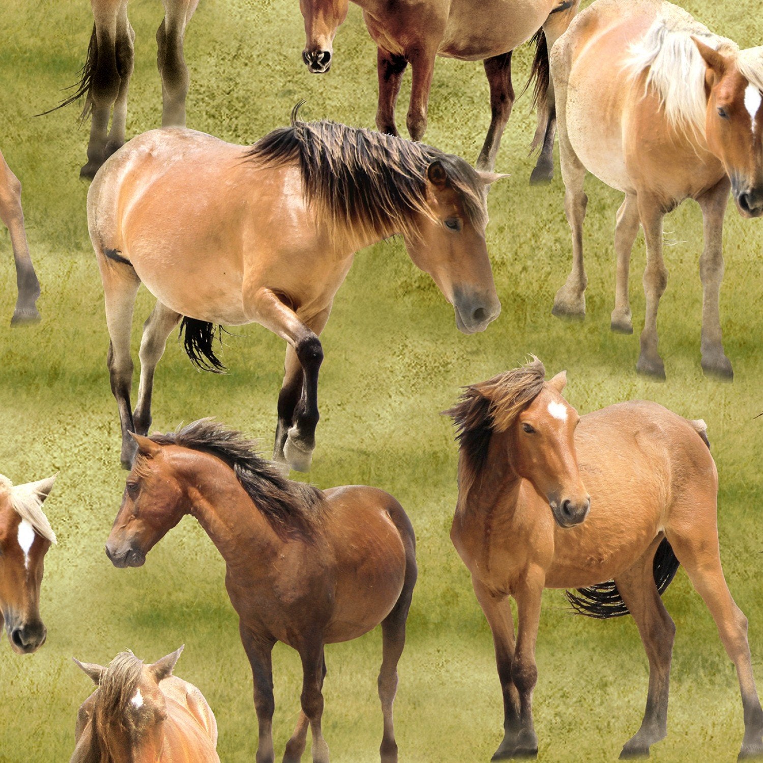 Des pâturages plus verts - Jennifer Pugh - Green Horses
