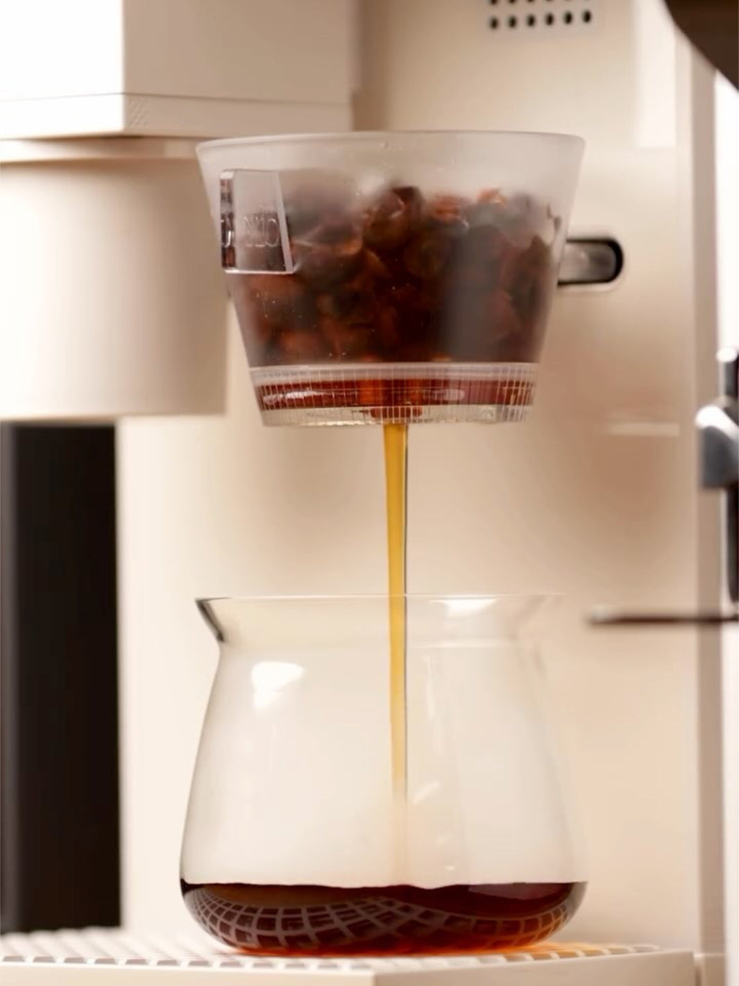 xBloom Studio Omni Tea Brewer