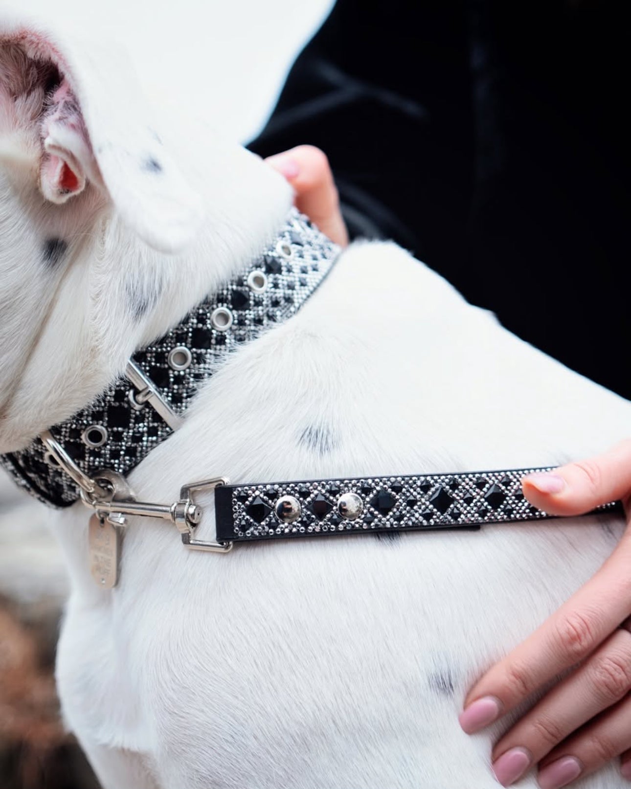 Laisse de luxe pour chien en hématite noire – Ferrures argentées | Cuir vegan souple, longueur 107 cm avec clip 360°