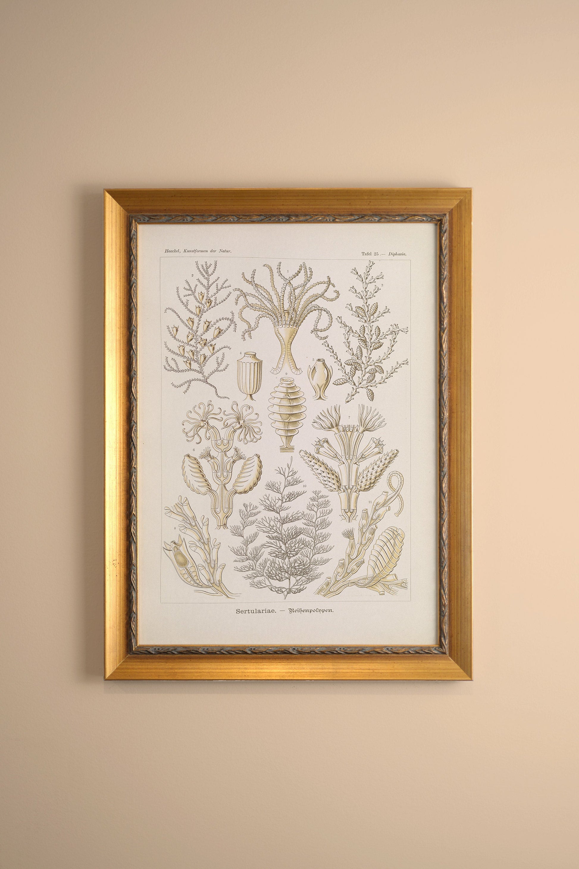 Marine Essence, Vintage Frame Gold
