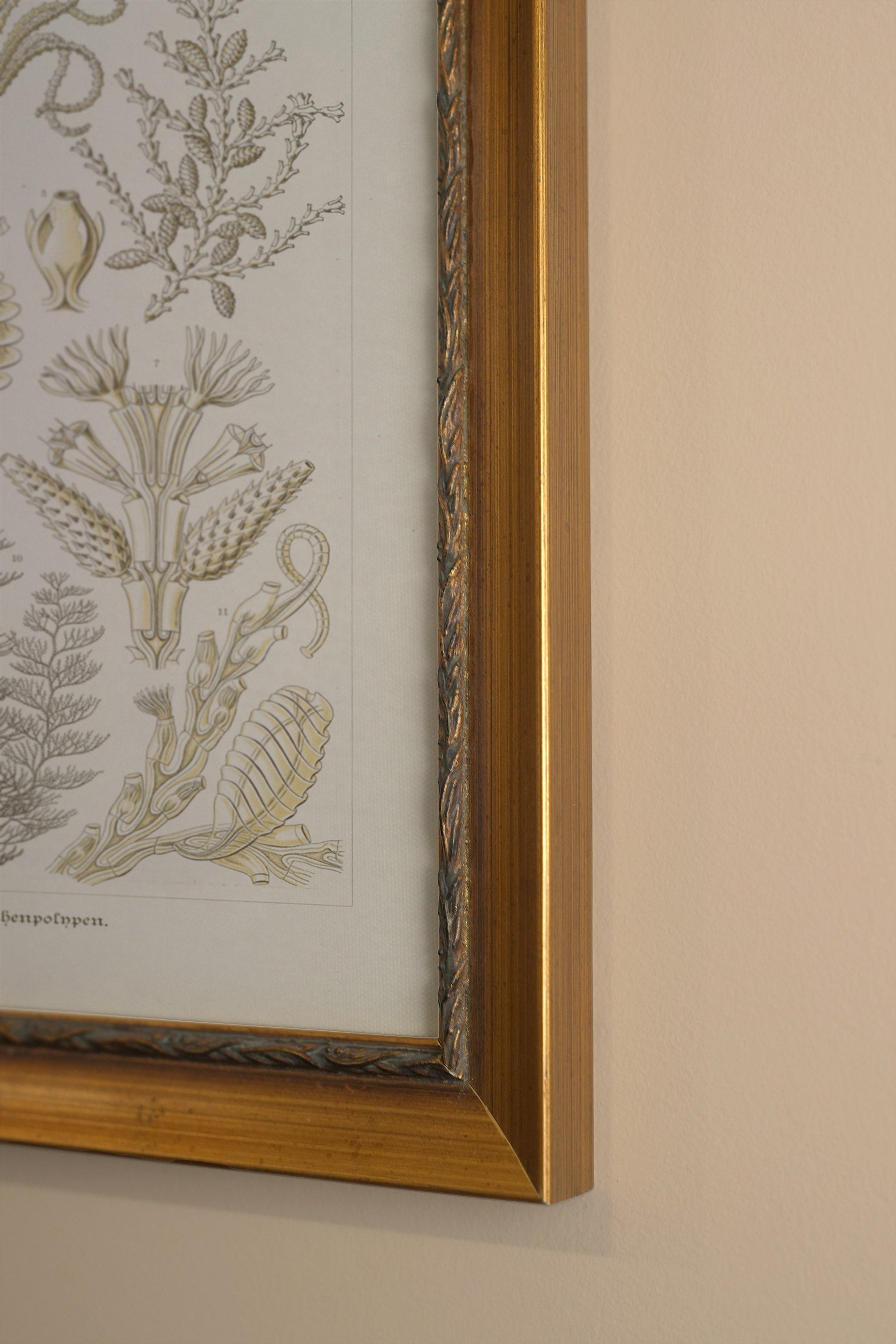 Marine Essence, Vintage Frame Gold