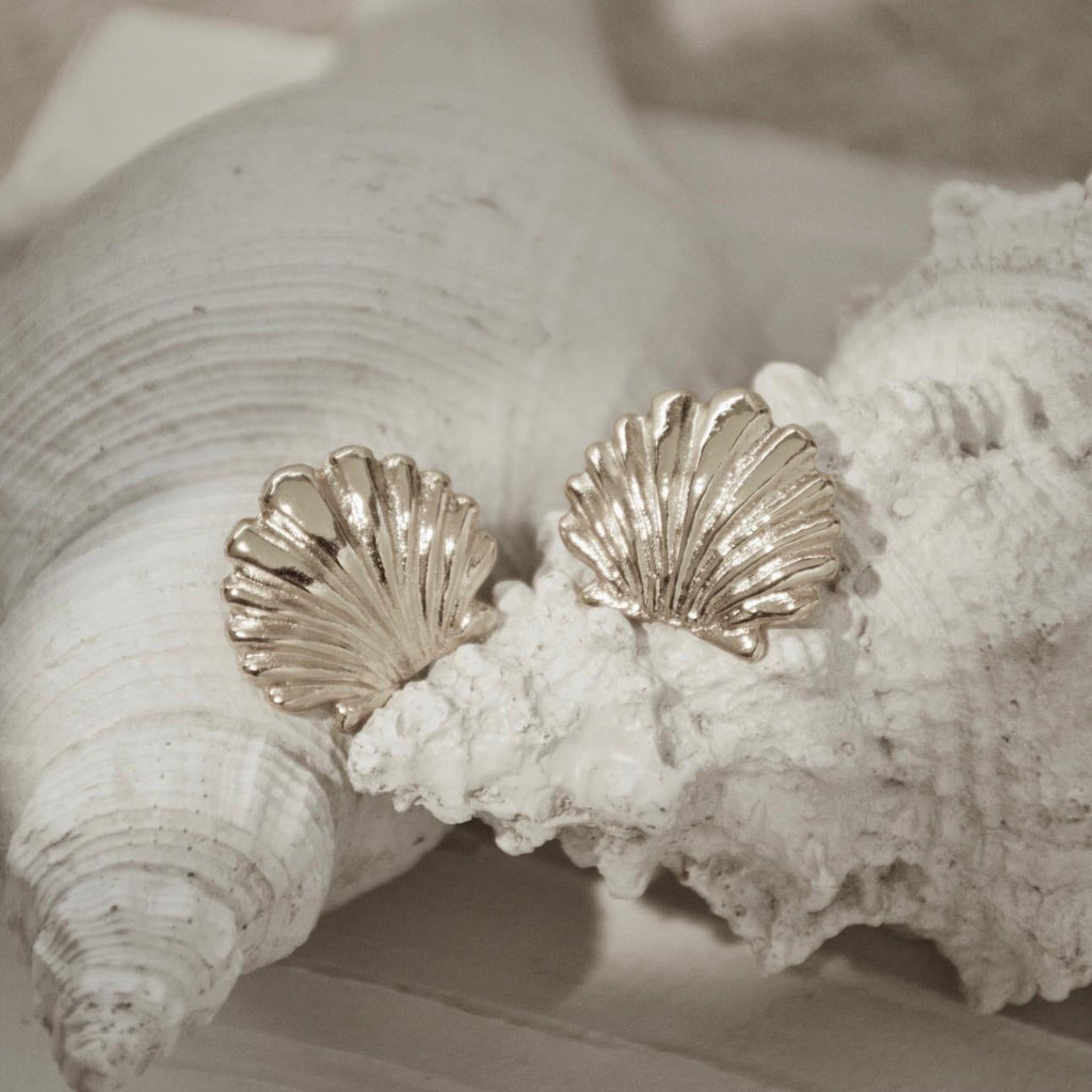 Silver Shell Earrings