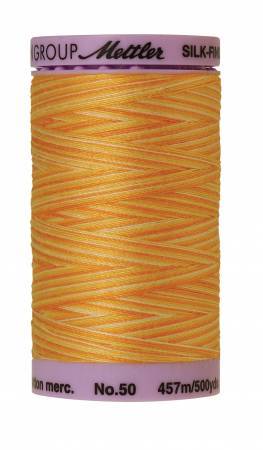 Fil de coton panaché Mettler Silk-Finish 50wt 500yd/457M Horizon