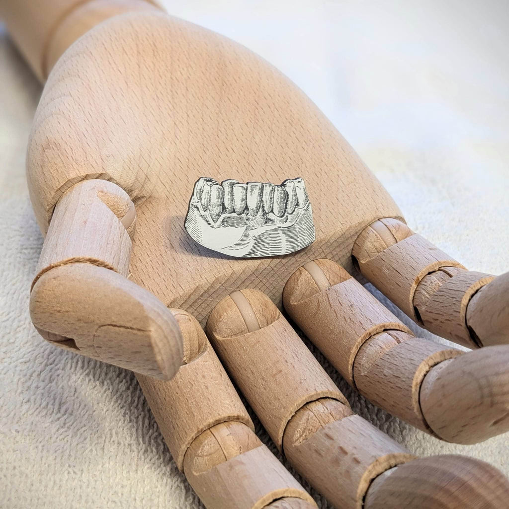 Jaw and Teeth Pin