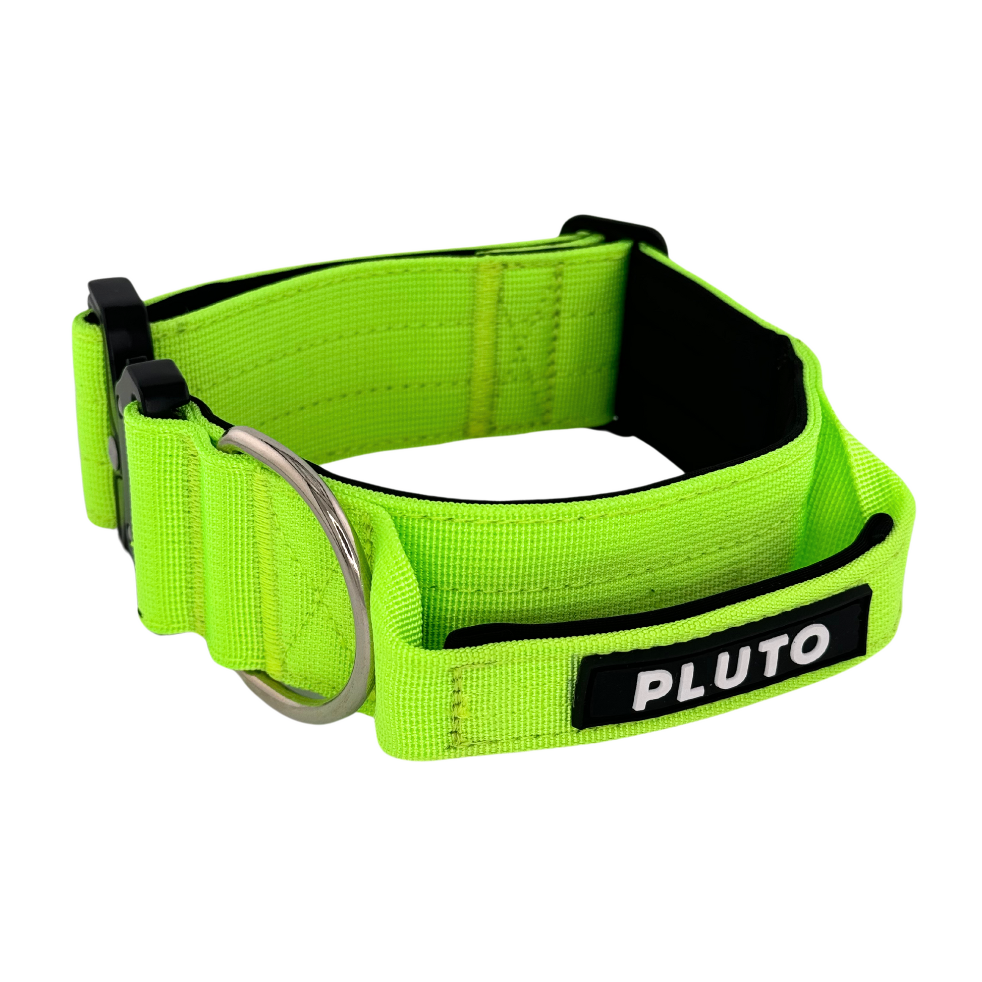 Collier pour chien robuste