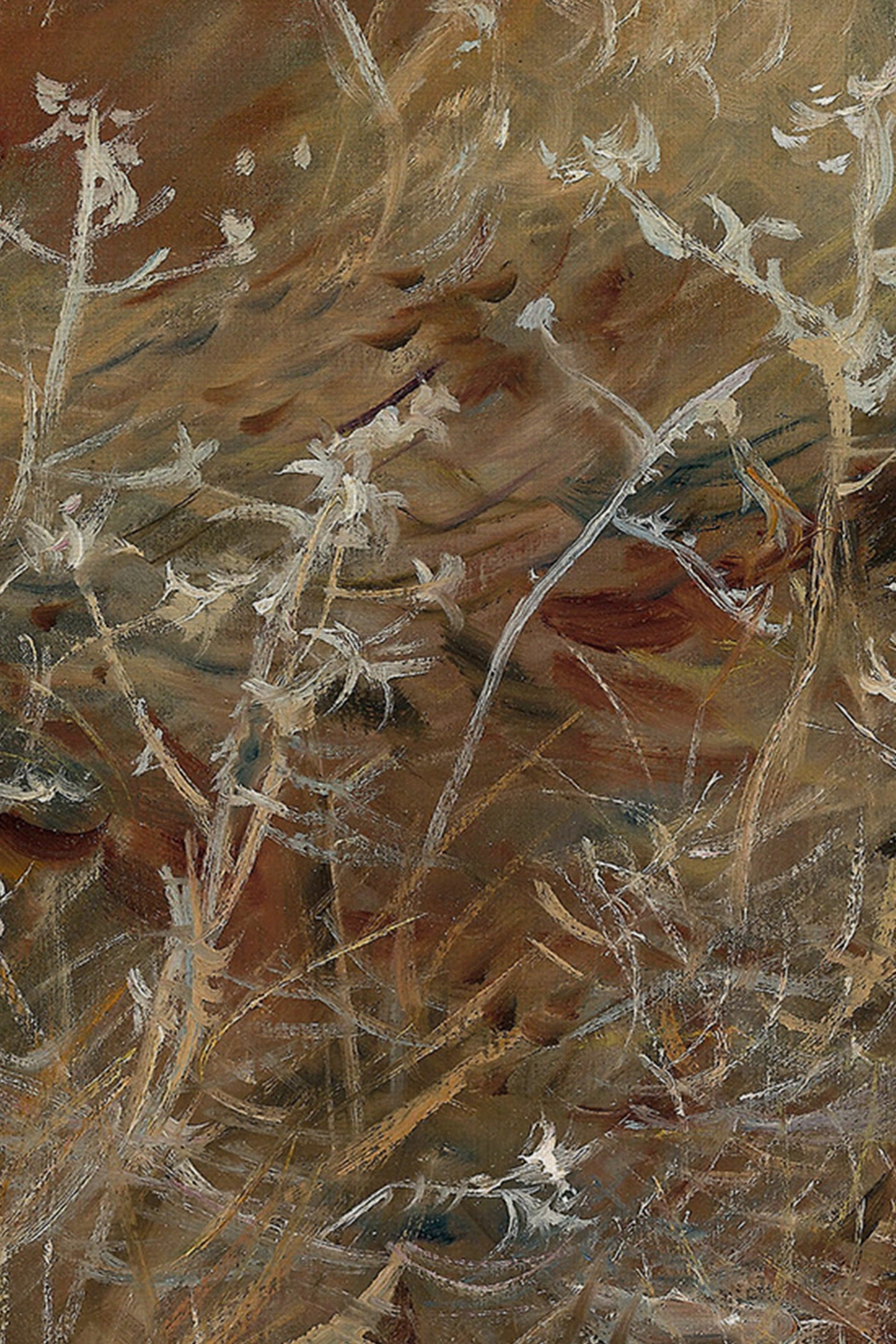 WILD ROOTS, VINTAGE FRAME GOLD