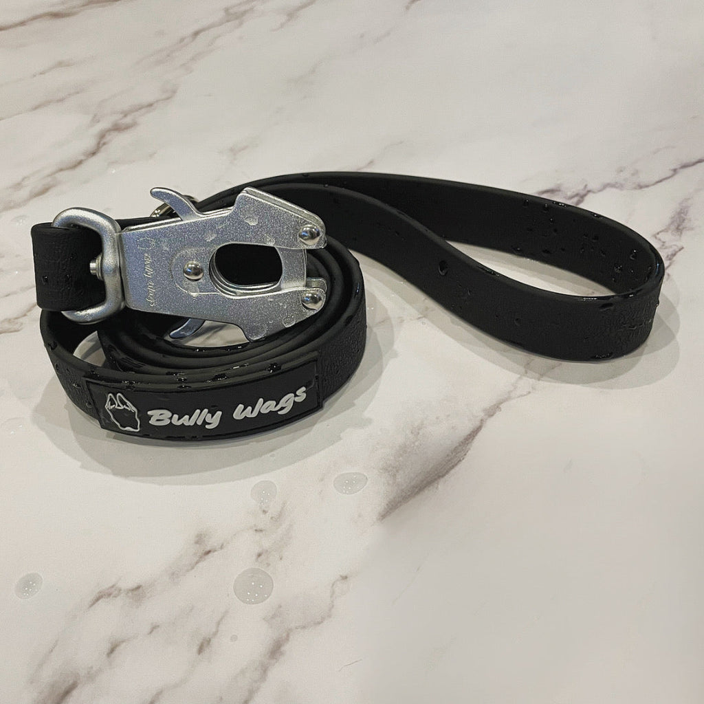 Laisse pour chien en PVC imperméable