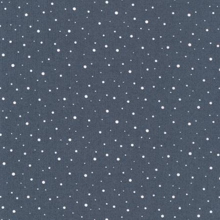 Boîte à peinture par Elizabeth Hartman pour Robert Kaufman Fabrics - Points métalliques