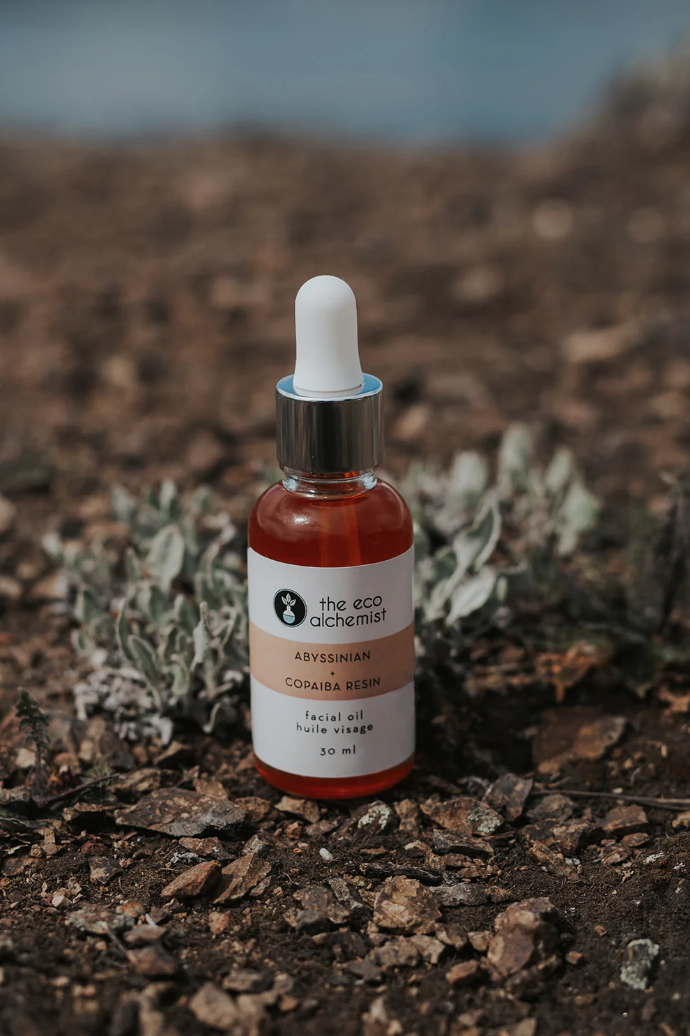 Abyssinian + Copaiba Resin Soothing Facial Oil