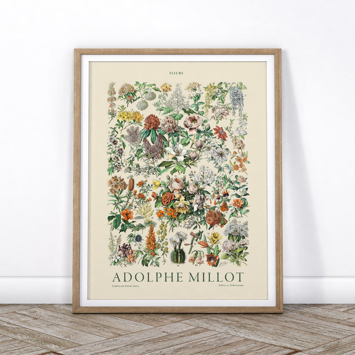 Adolphe Millot Fleurs Botanical Print – Vintage Flower Wall Art Poster