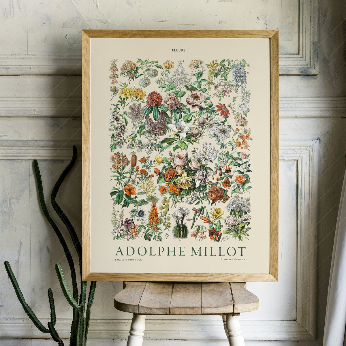Adolphe Millot Fleurs Botanical Print – Vintage Flower Wall Art Poster
