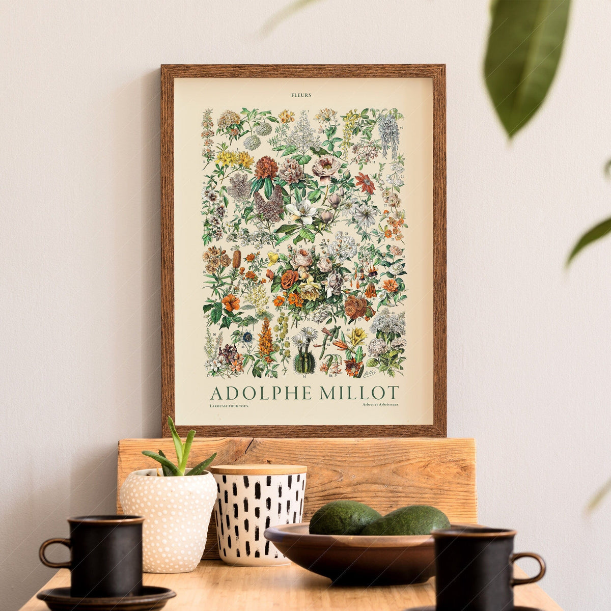 Adolphe Millot Fleurs Botanical Print – Vintage Flower Wall Art Poster
