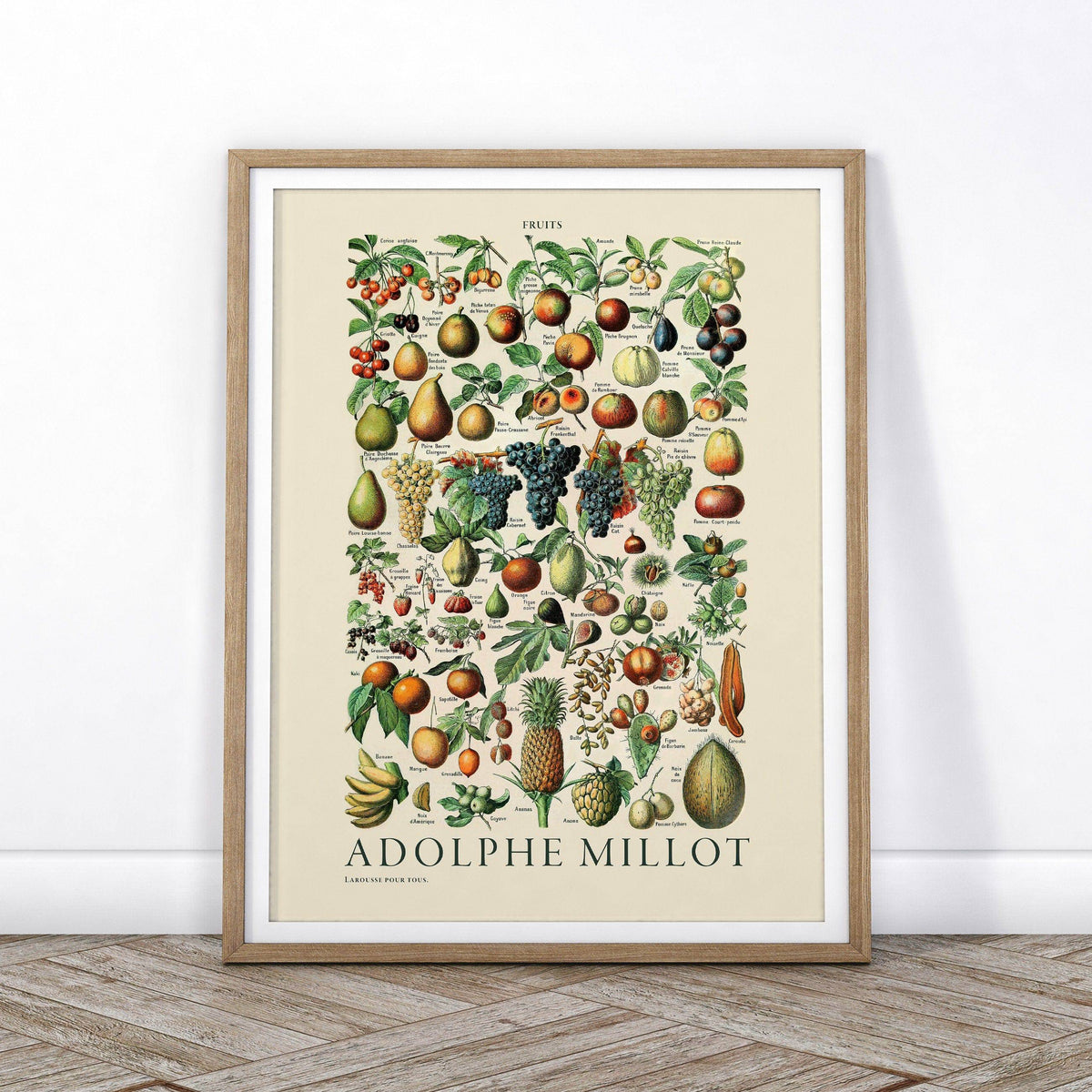 Adolphe Millot Fruits Botanical Print – Vintage Kitchen Wall Art Poster