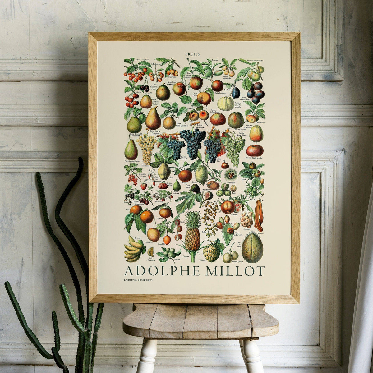 Adolphe Millot Fruits Botanical Print – Vintage Kitchen Wall Art Poster