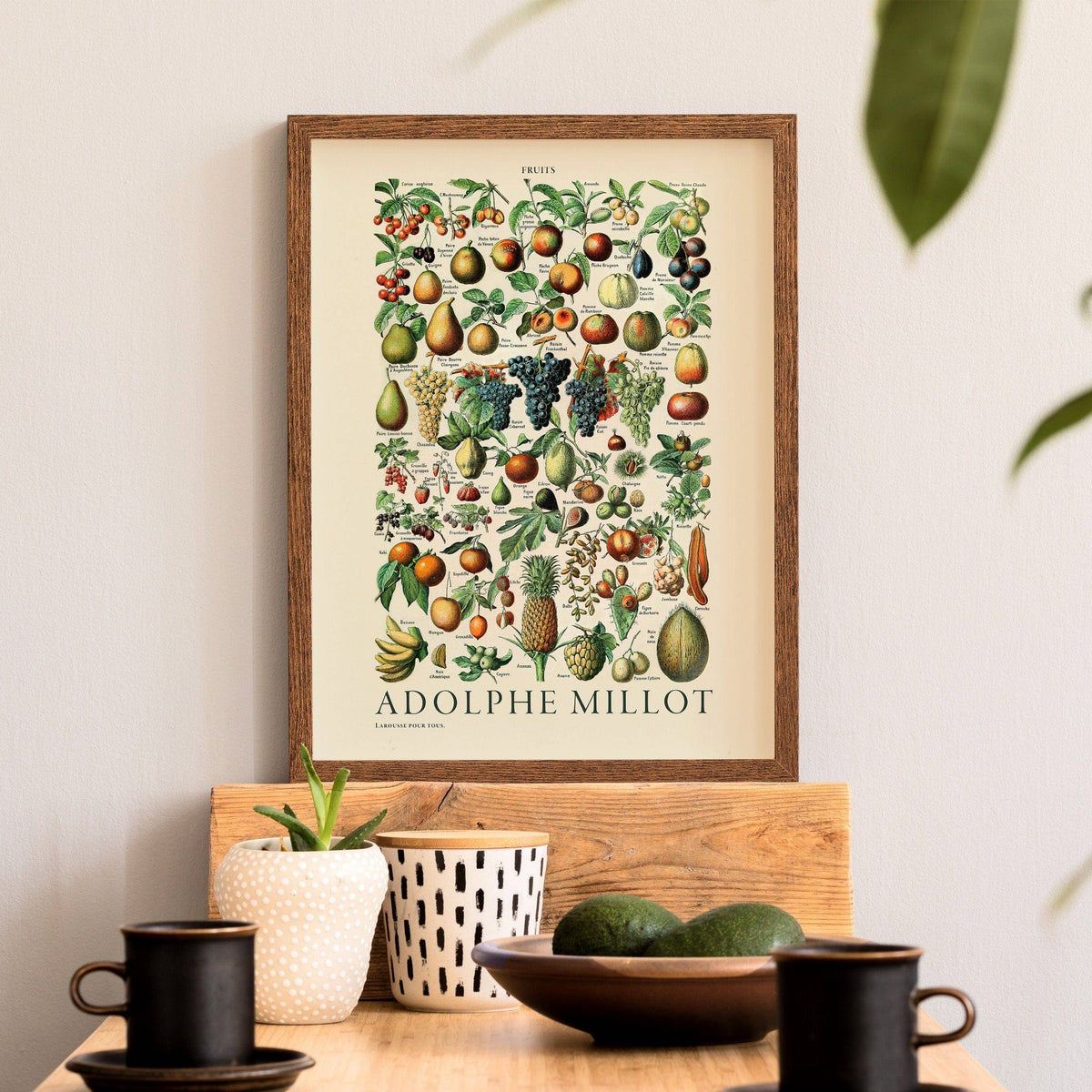 Adolphe Millot Fruits Botanical Print – Vintage Kitchen Wall Art Poster