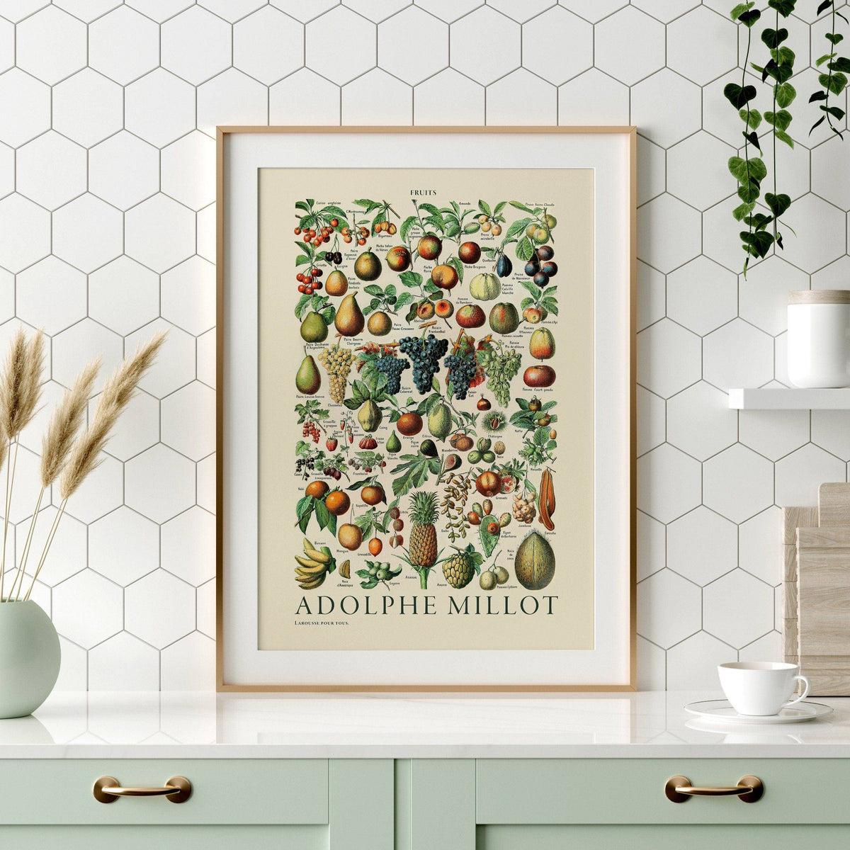 Adolphe Millot Fruits Botanical Print – Vintage Kitchen Wall Art Poster