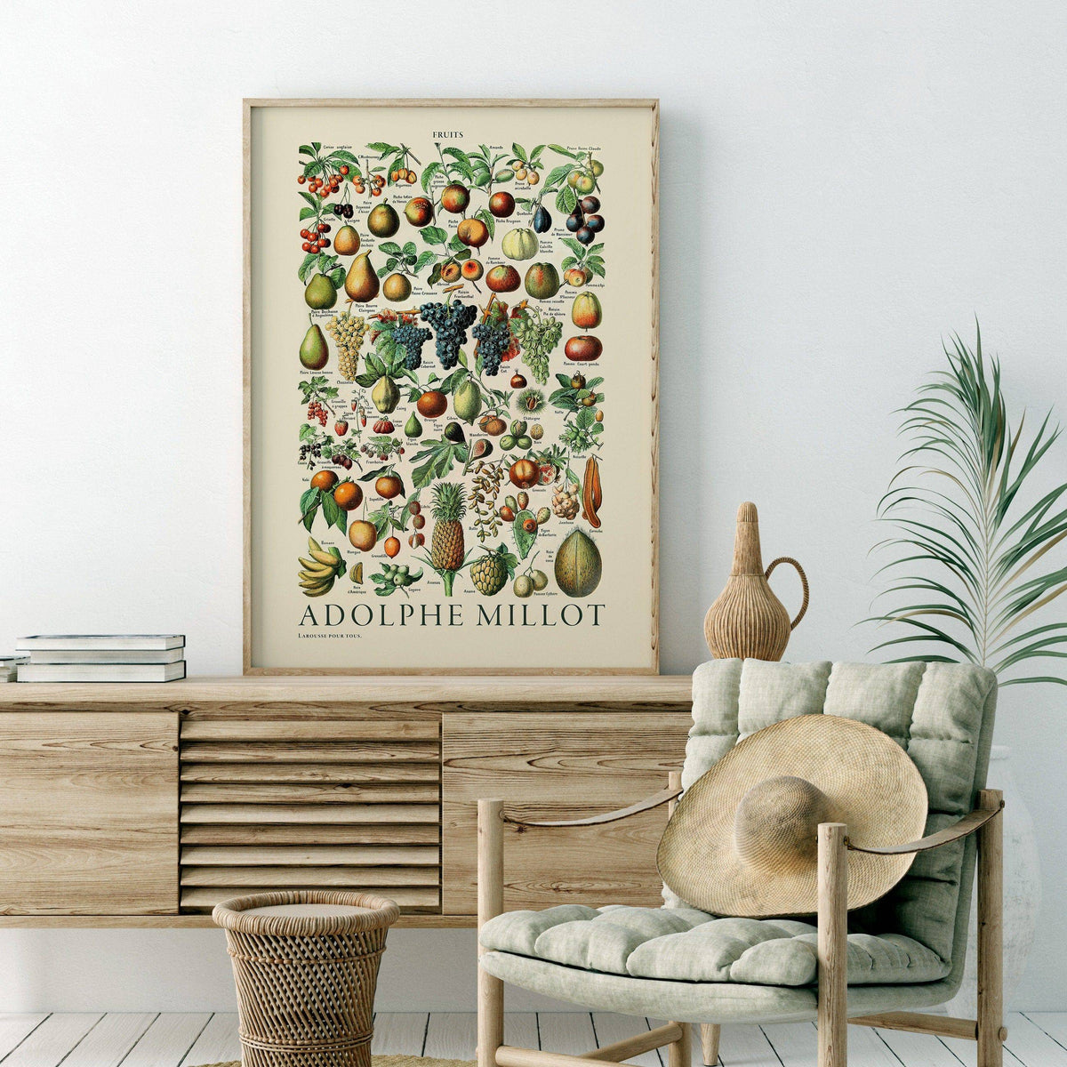 Adolphe Millot Fruits Botanical Print – Vintage Kitchen Wall Art Poster