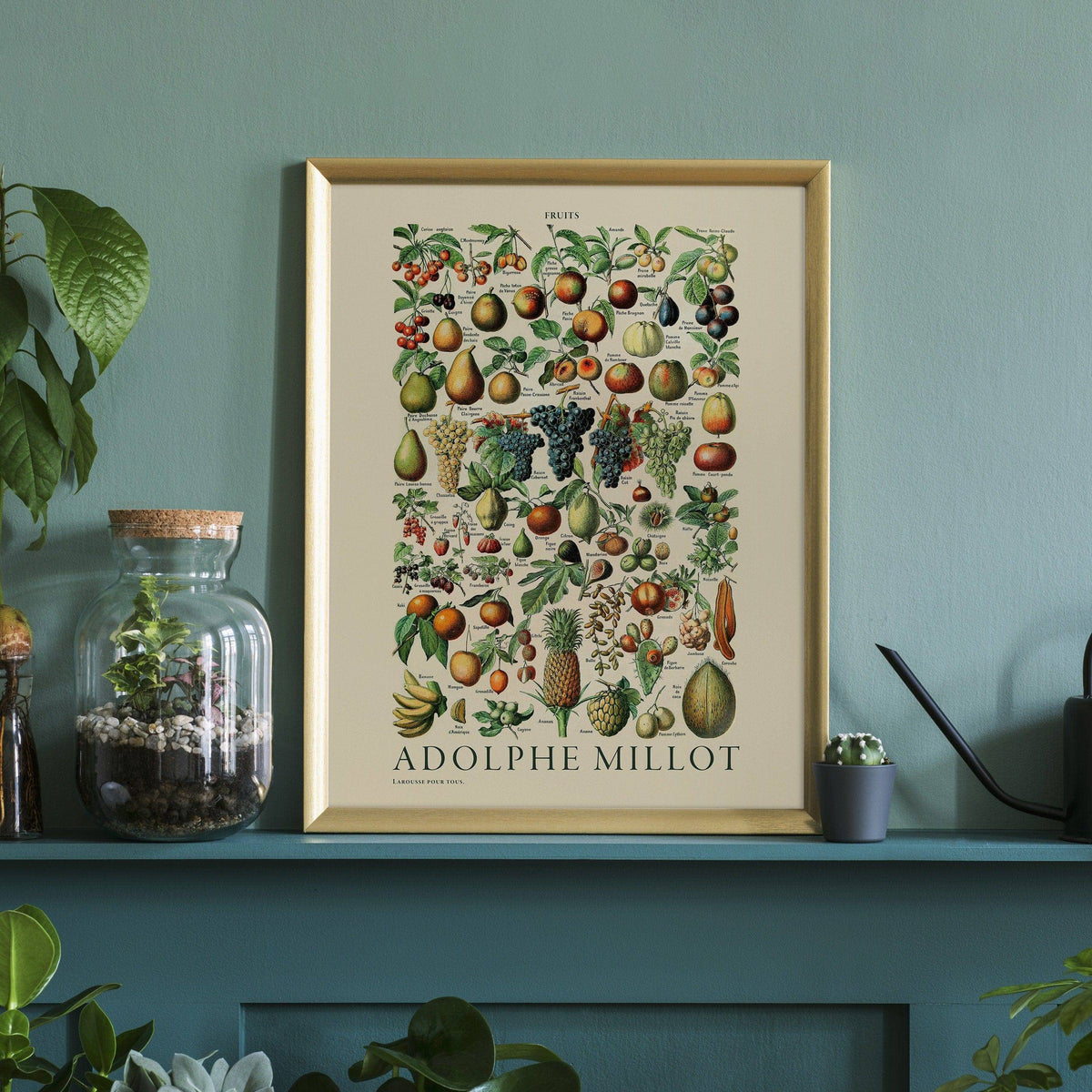 Adolphe Millot Fruits Botanical Print – Vintage Kitchen Wall Art Poster