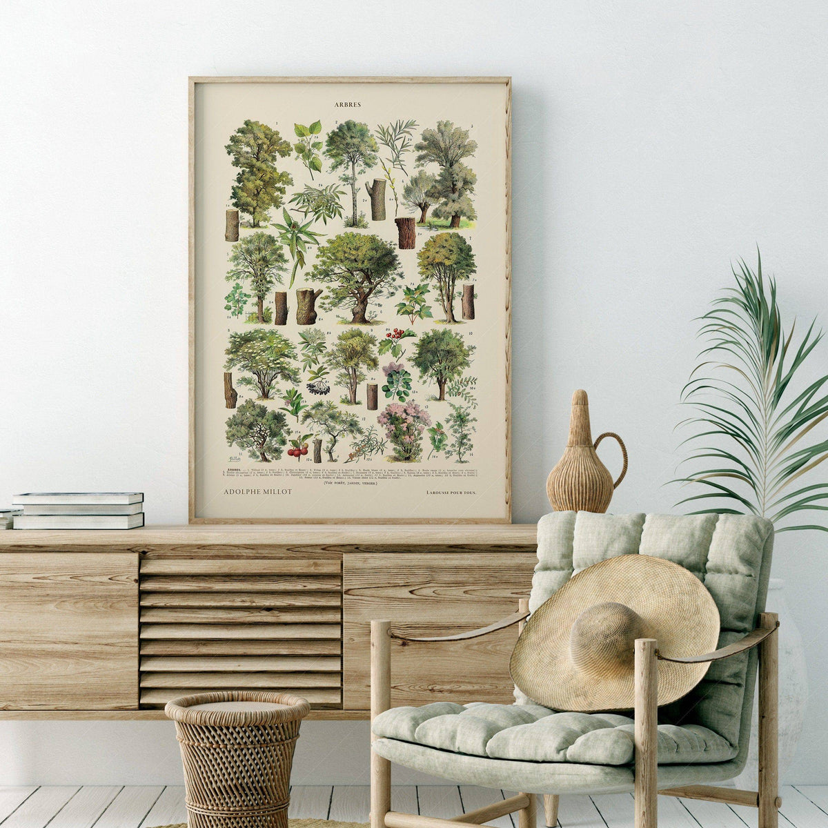 Adolphe Millot Arbres Trees Art Print – Vintage Botanical Wall Poster