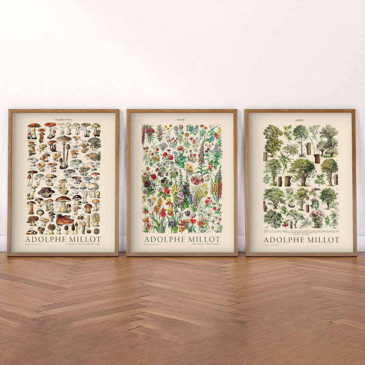 Adolphe Millot Botanical Print Set of 3 – Vintage Nature Wall Art