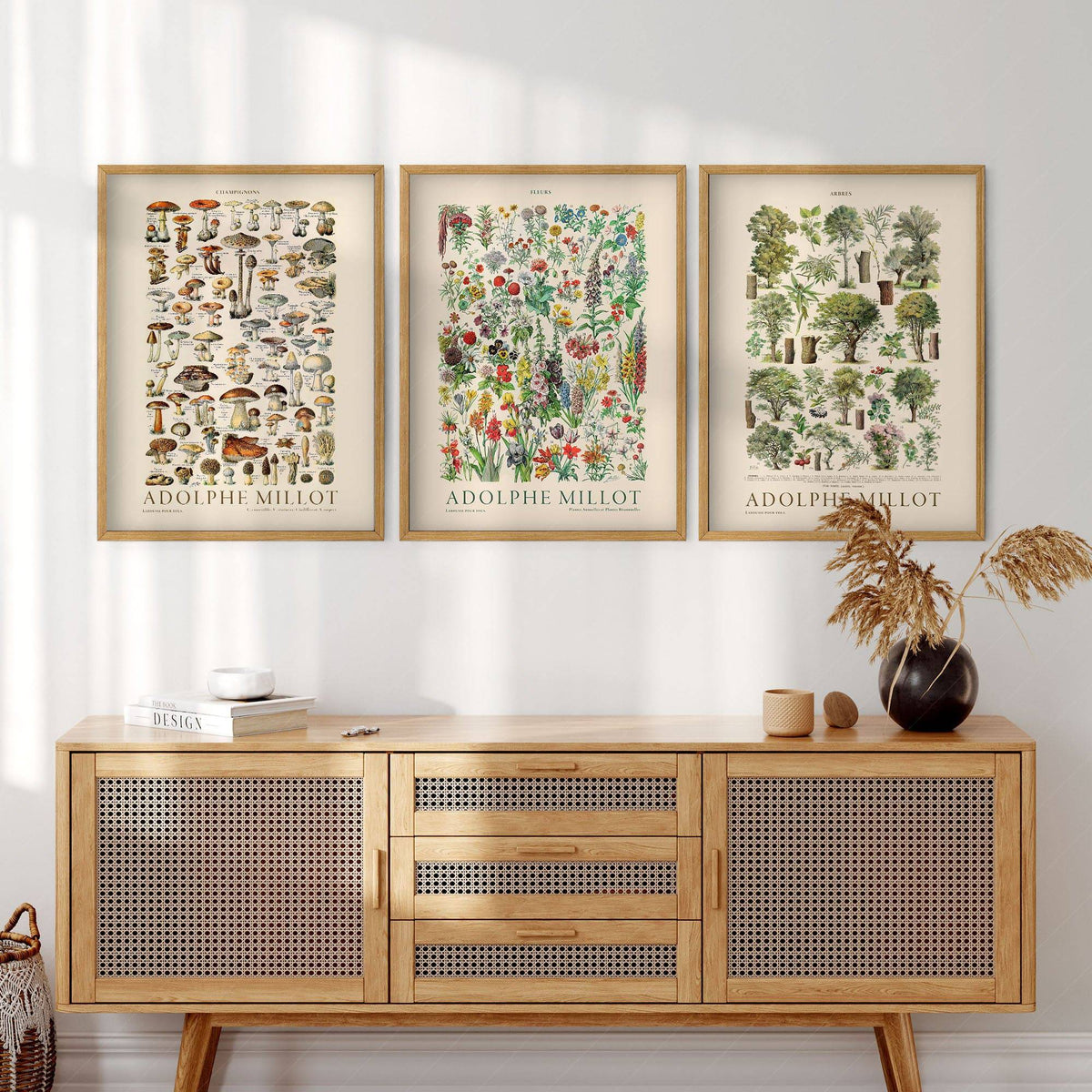 Adolphe Millot Botanical Print Set of 3 – Vintage Nature Wall Art
