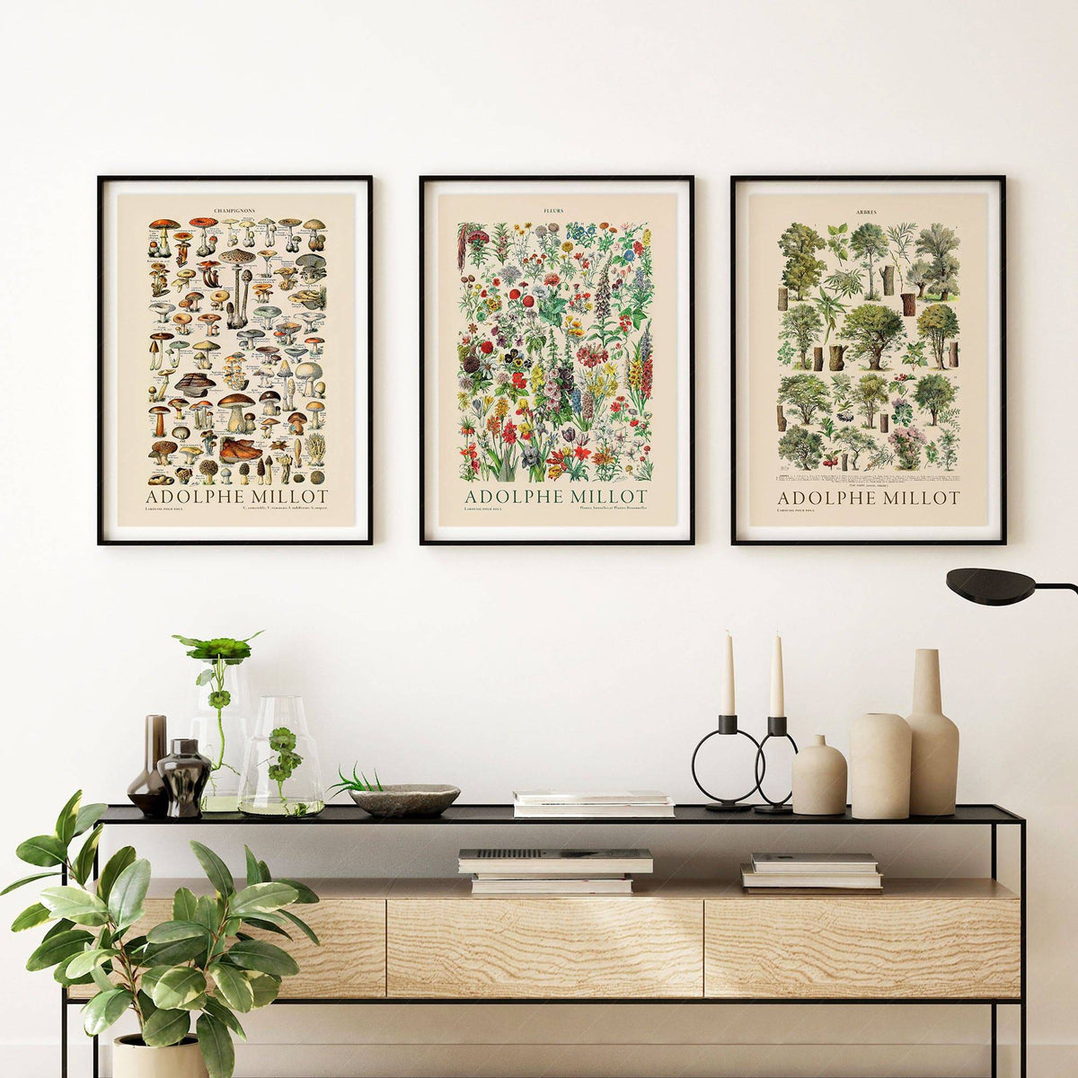 Adolphe Millot Botanical Print Set of 3 – Vintage Nature Wall Art