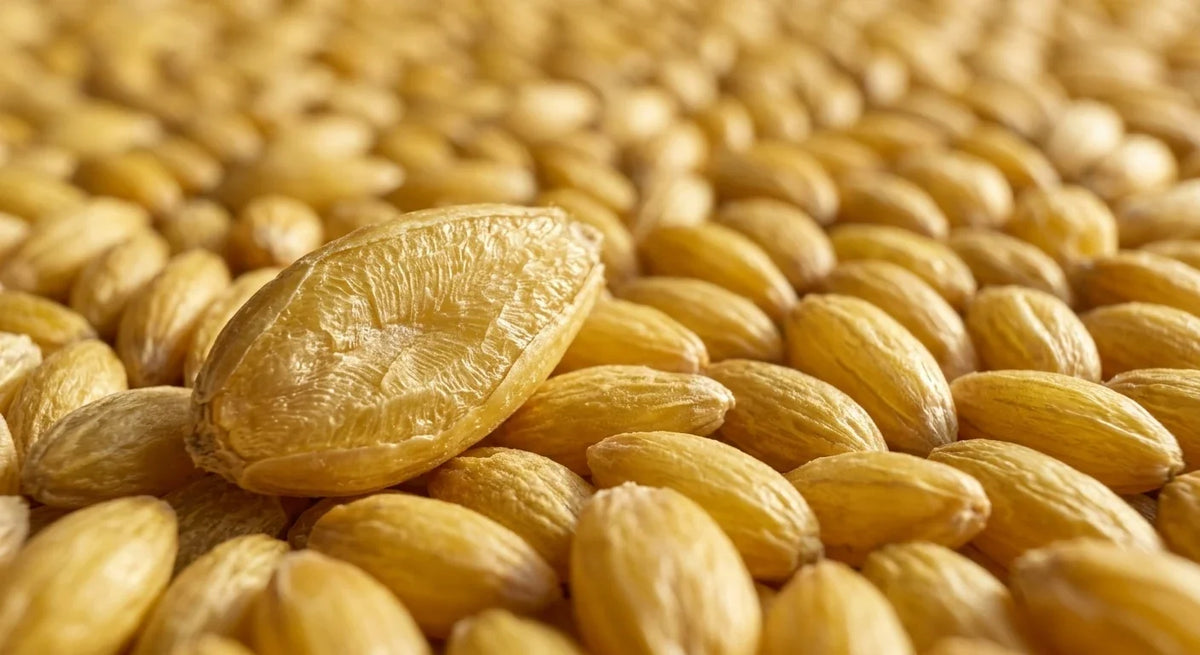 Annanda Alpiste® | Graines d'alpiste de qualité alimentaire