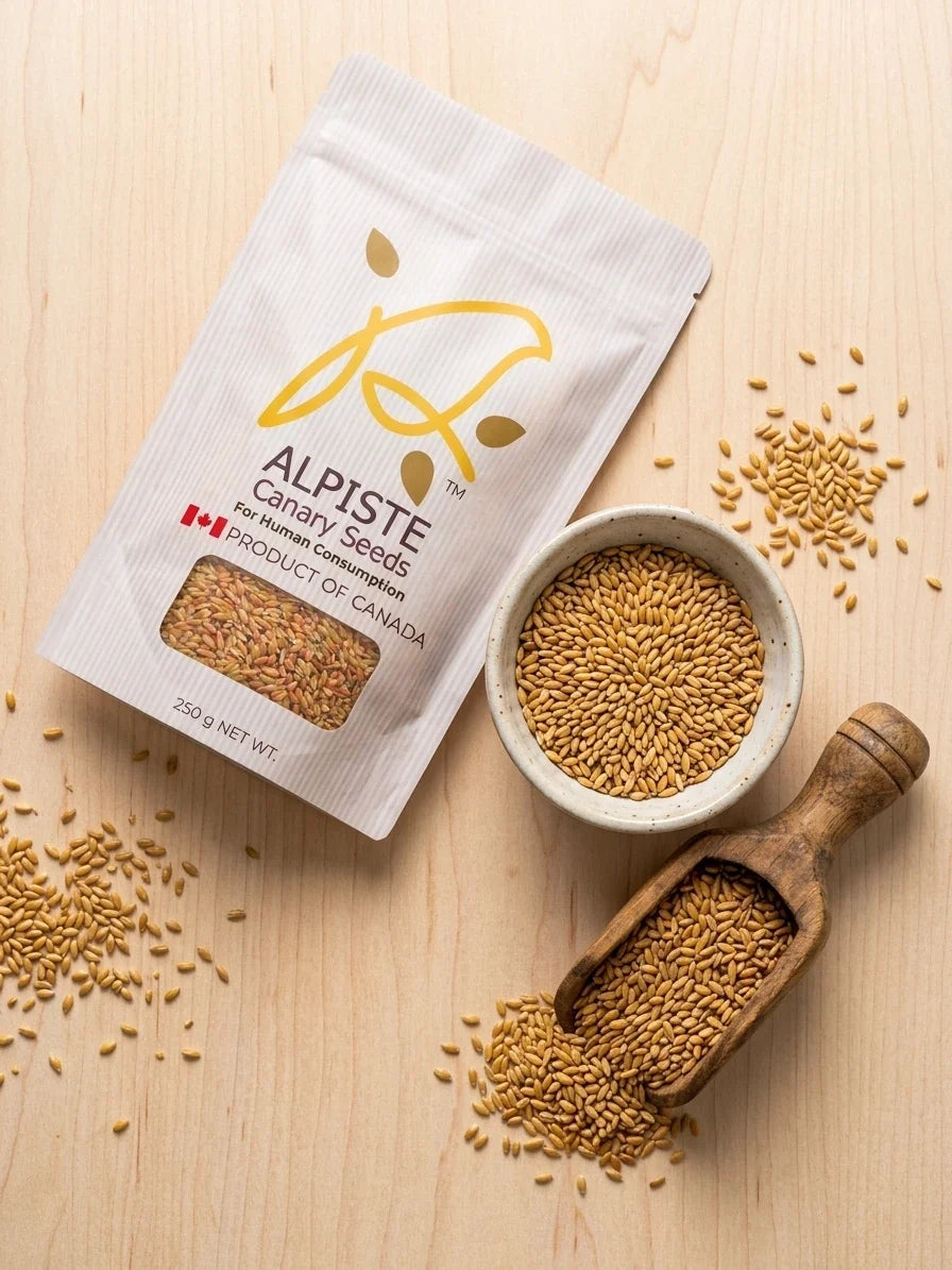 Annanda Alpiste® | Graines d'alpiste de qualité alimentaire