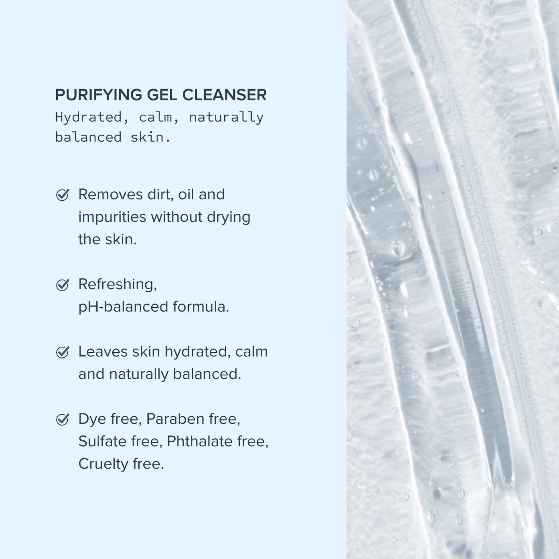 Alumier Purifying Gel Cleanser