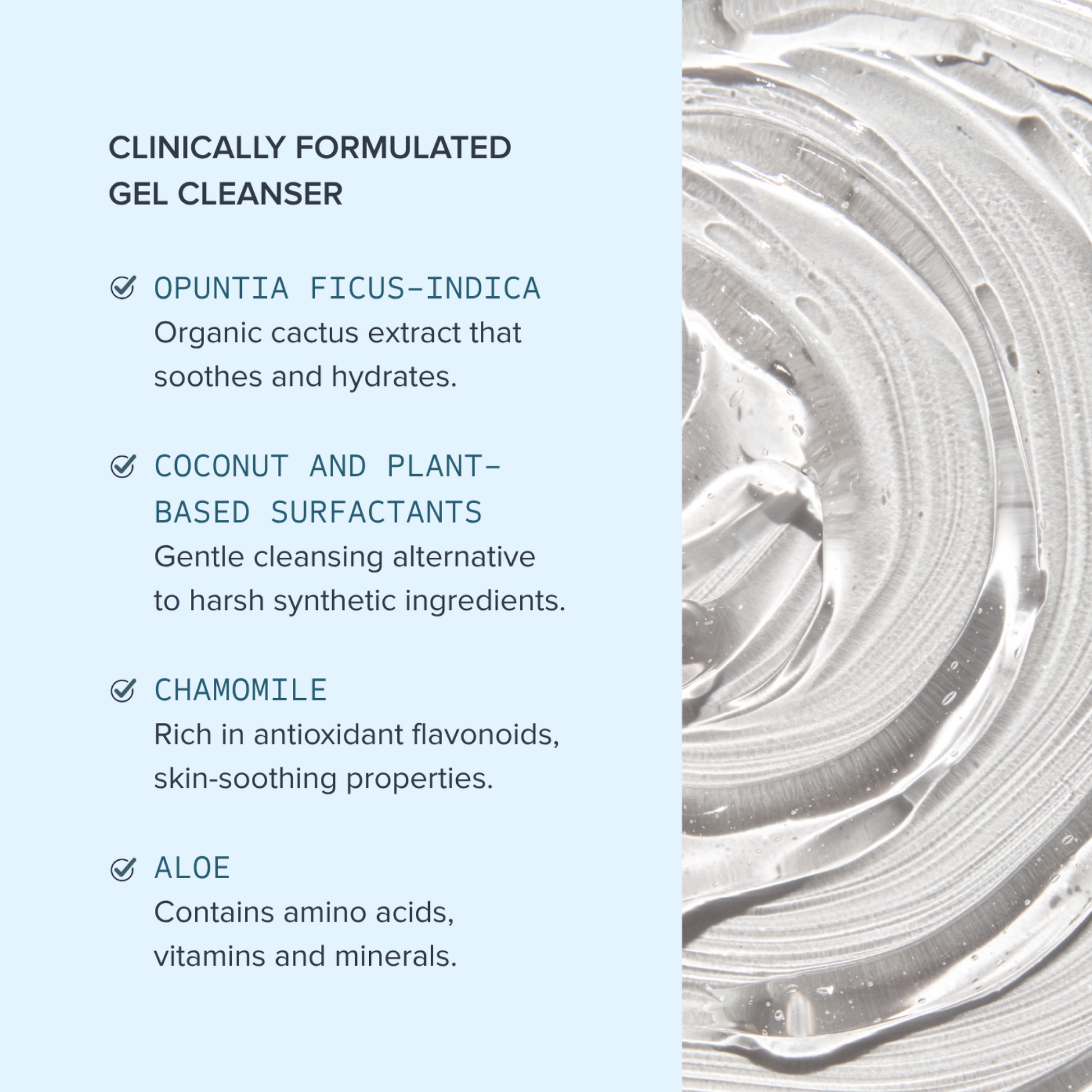 Alumier Purifying Gel Cleanser