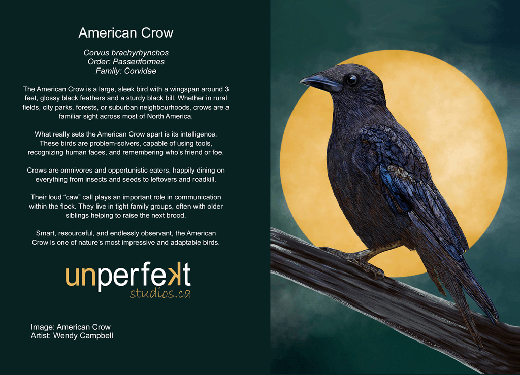 Notebook, Journal - American Crow