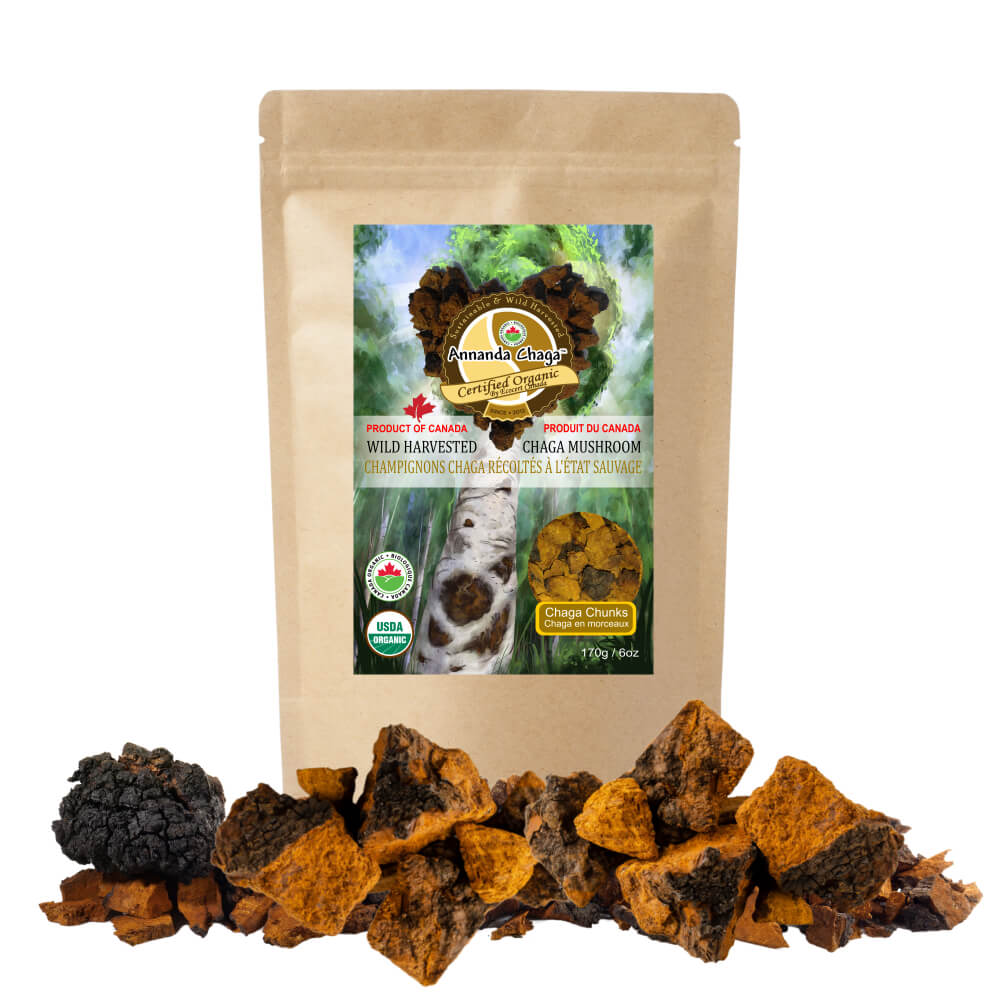 Wild Canadian Chaga Mushroom Chunks — Traditional Cut