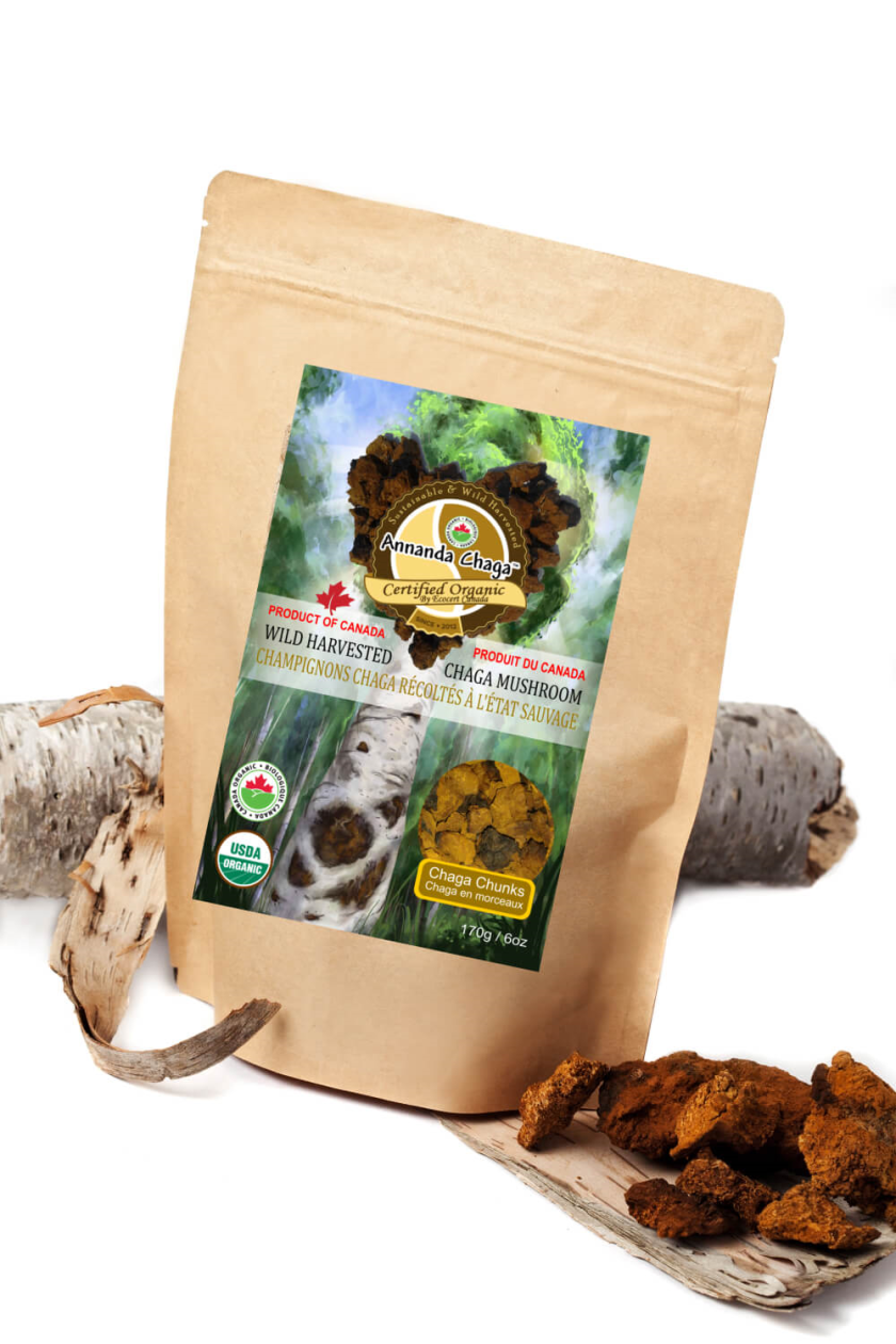 Wild Canadian Chaga Mushroom Chunks — Traditional Cut