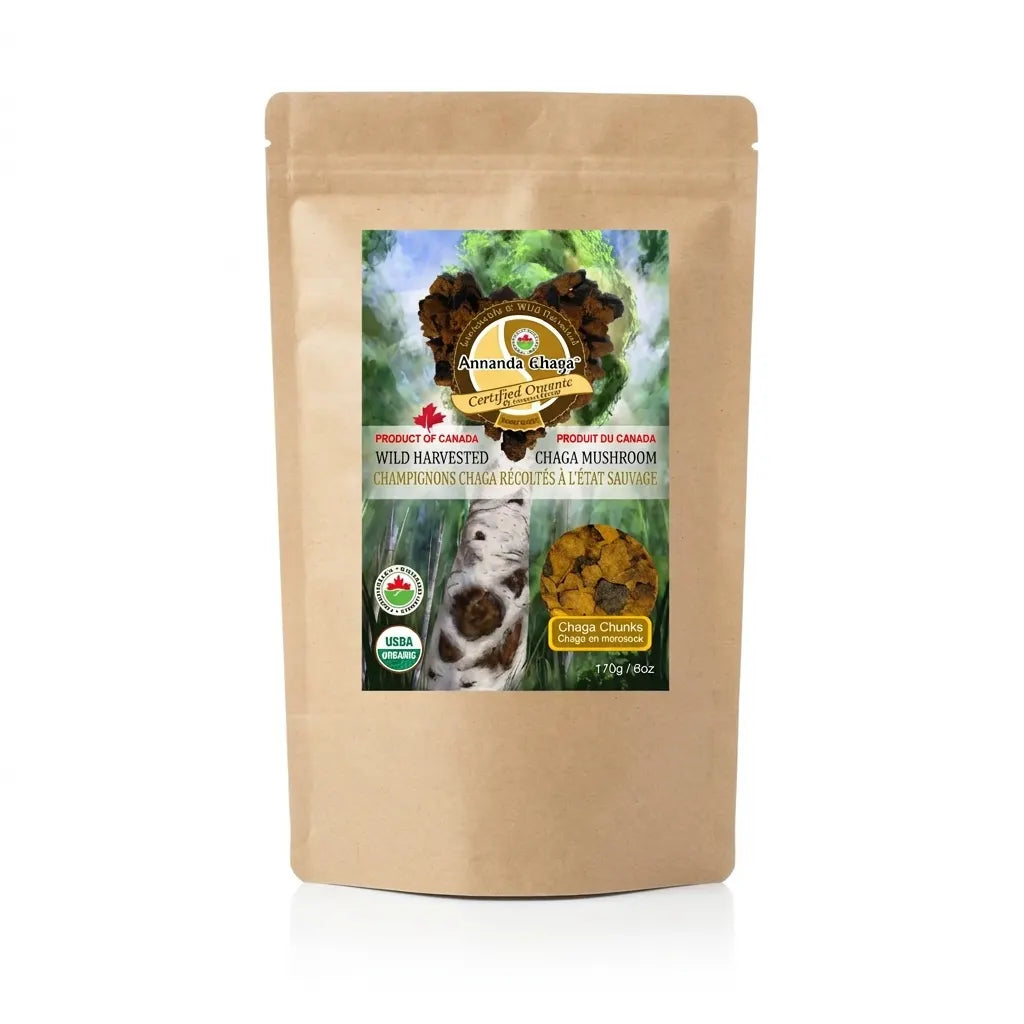 Wild Canadian Chaga Mushroom Chunks — Traditional Cut