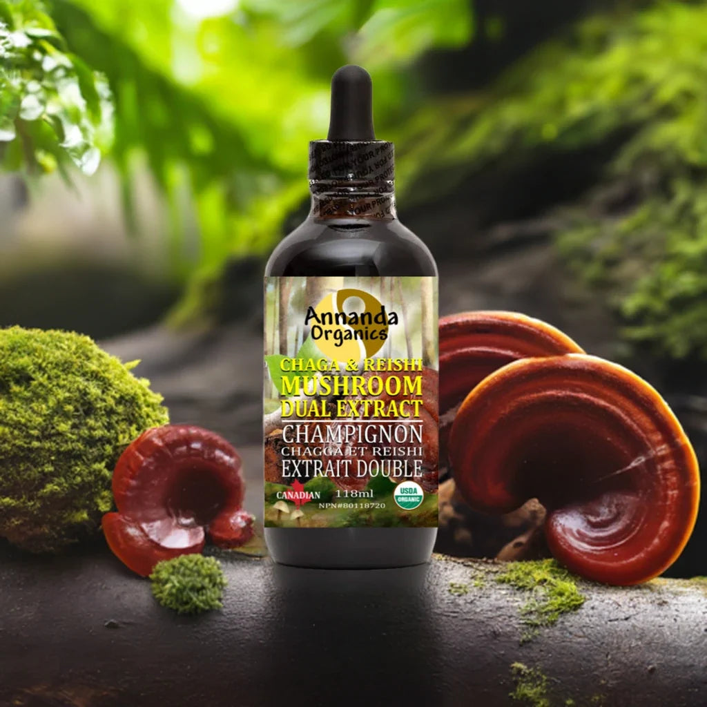 Wild Chaga and Reishi Extract