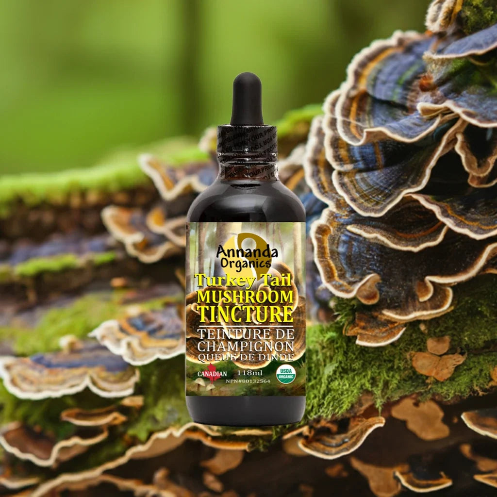 Organic Turkey Tail Tincture