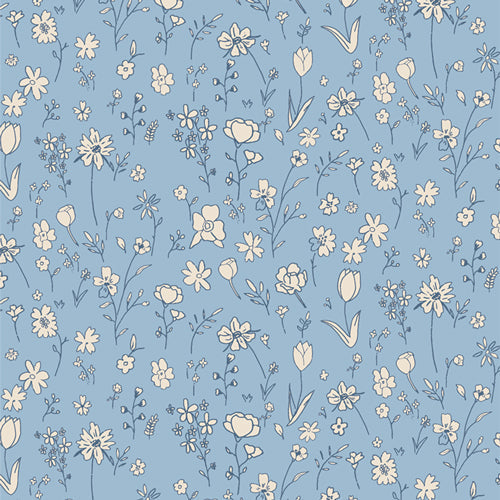 Histoires du soir AGF ; La Fée bleue, 1/4 yard