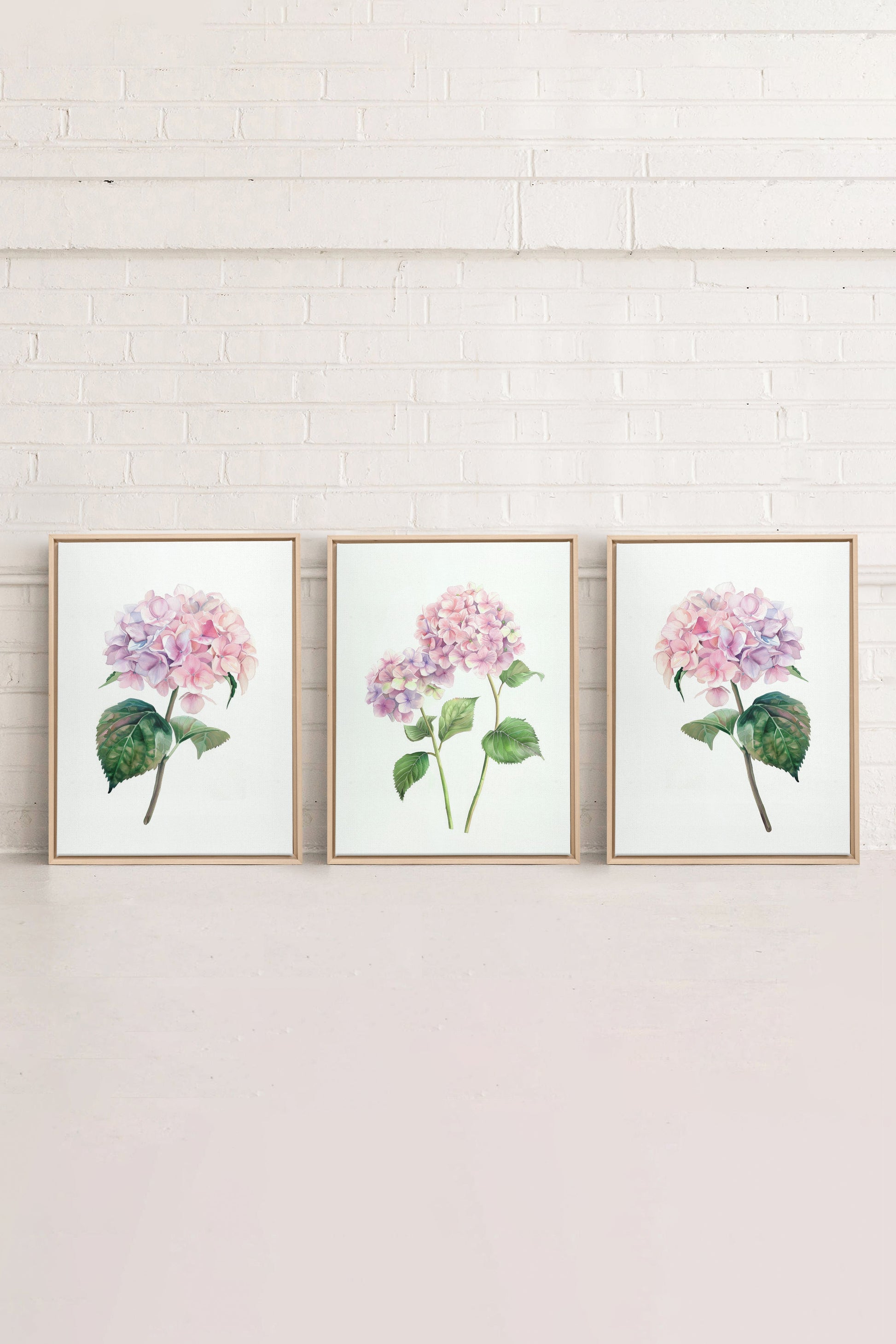 BLOSSOMING TRIO (3 Works on Stretched Canvas)