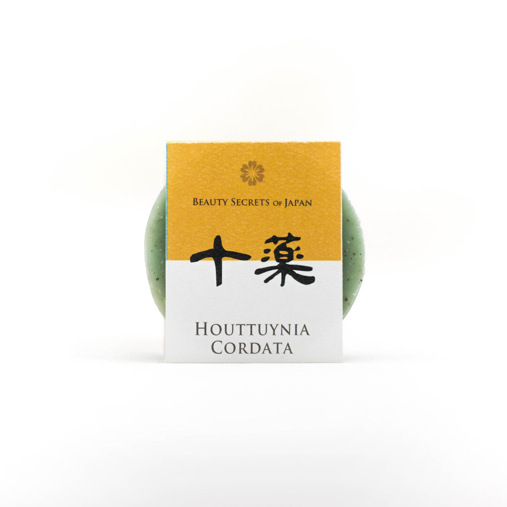Dokudami - Savon Houttuynia cordata