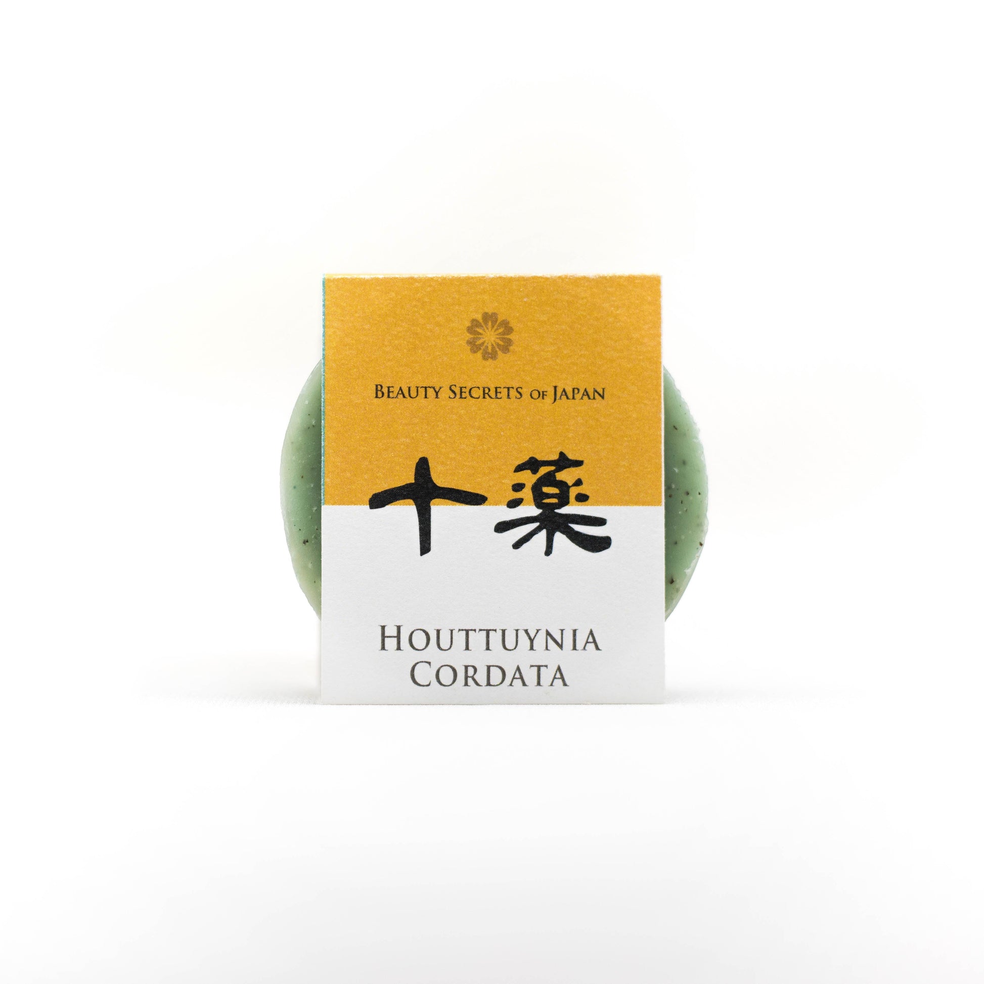 Dokudami - Savon Houttuynia cordata