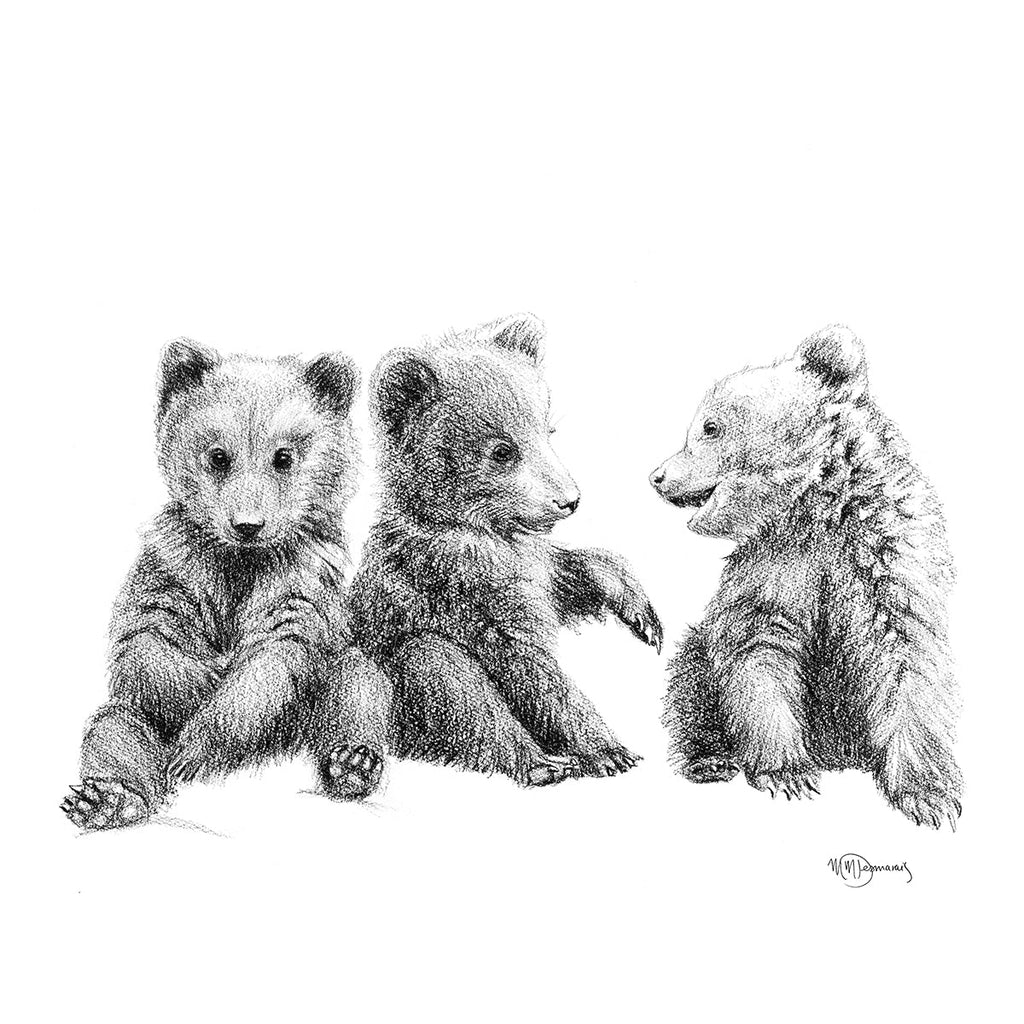 3 Brown Bear Cubs -  Illustration
