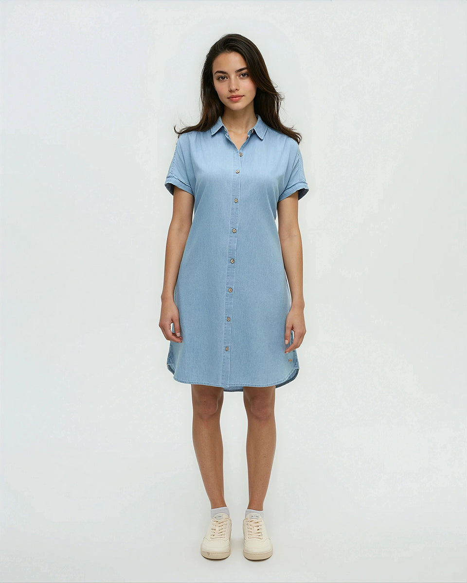 Denim Tern Dress