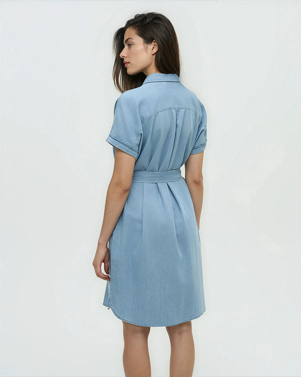 Denim Tern Dress