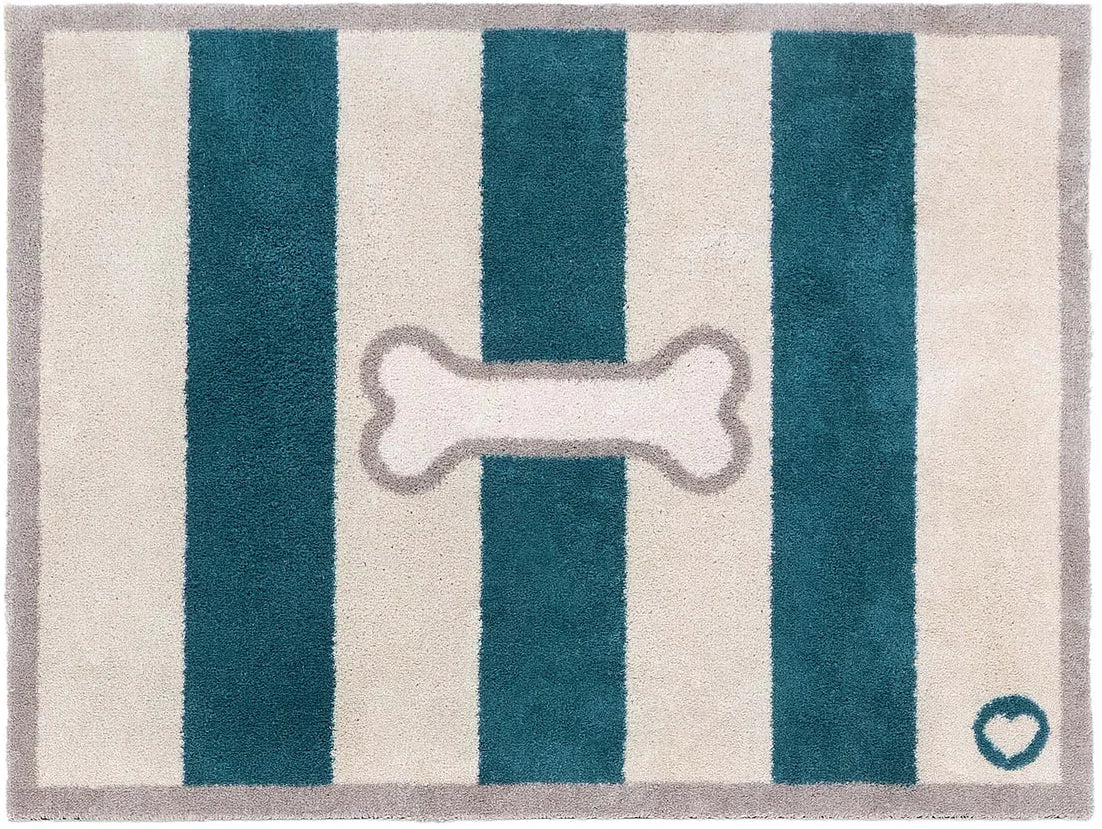 Bone Stripe Teal